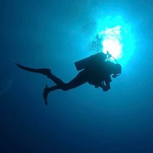 Meet your Posher, Darren